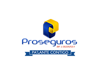 Proseguros